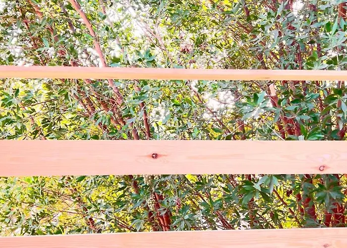 Daire Nona's Tree House