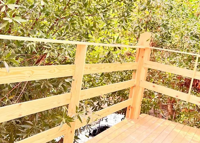 Daire Nona's Tree House Dahab